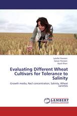 Evaluating Different Wheat Cultivars for Tolerance to Salinity