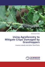 Using Agroforestry to Mitigate Crops Damaged by Grasshoppers