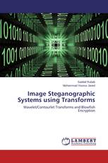 Image Steganographic Systems using Transforms