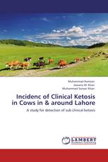Incidenc of Clinical Ketosis in Cows in & around Lahore