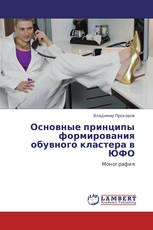 Основные принципы формирования обувного кластера в ЮФО