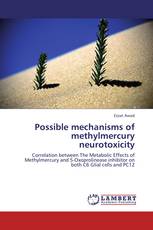 Possible mechanisms of methylmercury neurotoxicity
