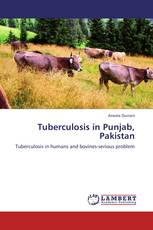 Tuberculosis in Punjab, Pakistan