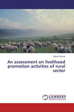 An assessment on livelihood promotion activities of rural sector