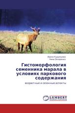 Гистоморфология семенника марала в условиях паркового содержания