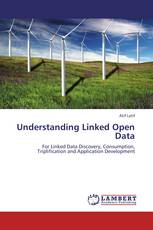 Understanding Linked Open Data