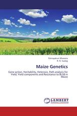 Maize Genetics