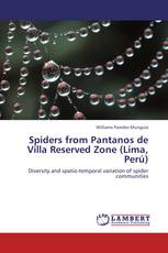 Spiders from Pantanos de Villa Reserved Zone (Lima, Perú)
