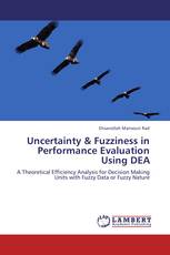 Uncertainty & Fuzziness in Performance Evaluation Using DEA
