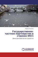 Государственно-частное партнерство в странах BRICS