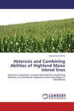 Heterosis and Combining Abilities of Highland Maize inbred lines