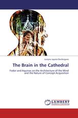 The Brain in the Cathedral