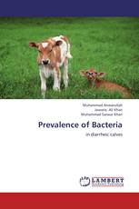 Prevalence of Bacteria