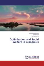 Optimization and Social Welfare in Economics