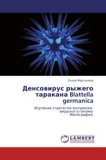 Денсовирус рыжего таракана Blattella germanica