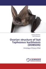 Ovarian structure of bat Taphozous kachhensis (DOBSON)
