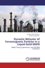 Dynamic Behavior of Ferromagnetic Particles in a Liquid-Solid MAFB