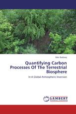 Quantifying Carbon Processes Of The Terrestrial Biosphere