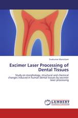 Excimer Laser Processing of Dental Tissues