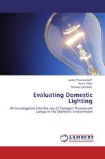 Evaluating Domestic Lighting