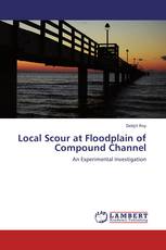 Local Scour at Floodplain of Compound Channel