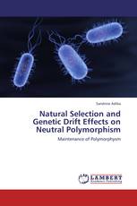 Natural Selection and Genetic Drift Effects on Neutral Polymorphism