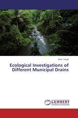 Ecological Investigations of Different Municipal Drains