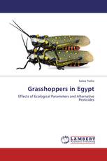 Grasshoppers in Egypt
