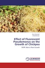 Effect of Fluorescent Pseudomonas on the Growth of Chickpea