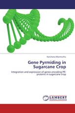 Gene Pyrmiding in Sugarcane Crop