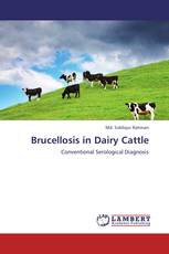 Brucellosis in Dairy Cattle