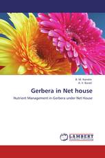 Gerbera in Net house