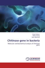 Chitinase gene in bacteria