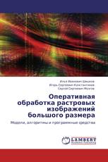 Оперативная обработка растровых изображений большого размера