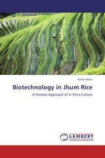 Biotechnology in Jhum Rice