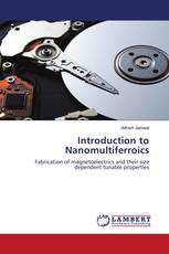 Introduction to Nanomultiferroics