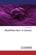 RhoGTPase Rac1 in Cancers