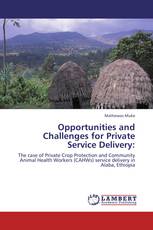 Opportunities and Challenges for Private Service Delivery: