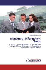 Managerial Information Needs