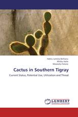 Cactus in Southern Tigray