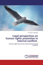 Legal perspectives on human rights protection in internal conflicts