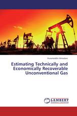 Estimating Technically and Economically Recoverable Unconventional Gas