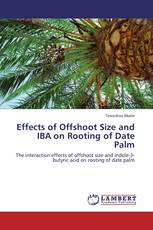 Effects of Offshoot Size and IBA on Rooting of Date Palm