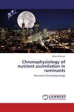 Chronophysiology of nutrient assimilation in ruminants