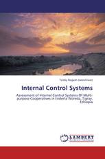 Internal Control Systems