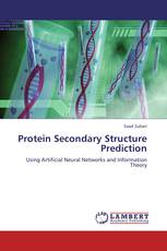 Protein Secondary Structure Prediction