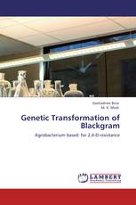 Genetic Transformation of Blackgram