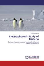 Electrophoresis Study of Bacteria