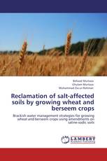 Reclamation of salt-affected soils by growing wheat and berseem crops