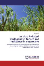 In vitro induced mutagenesis for red rot resistance in sugarcane
